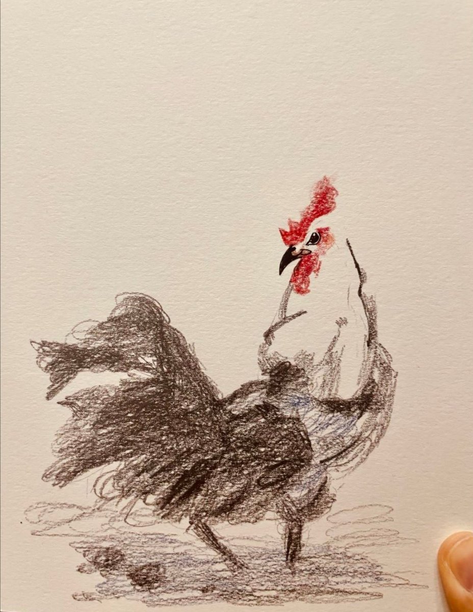 🐔Rooster painting.