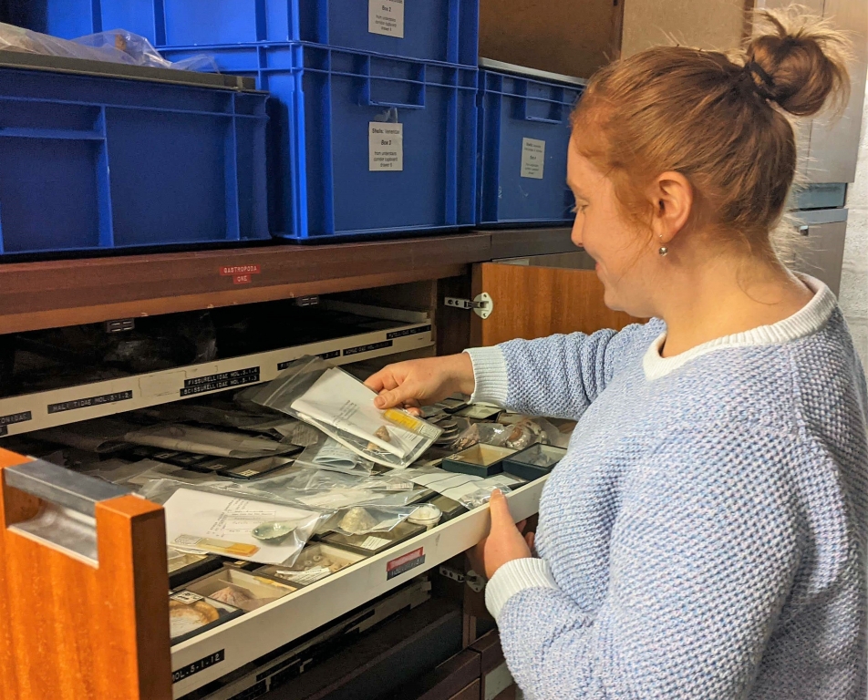 aberdeenuni's tweet photo. Improved access to one of the University of Aberdeen's nationally significant collections, has been achieved through the year-long 'Marvellous Molluscs Project', reigniting its use for learning and research. Find out more at https://t.co/lgM8rTbGFJ https://t.co/cRcCAgogzd