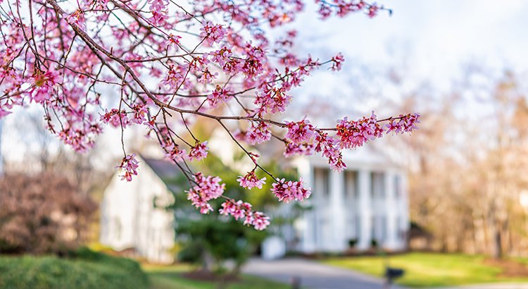 DFWREAdvisors's tweet photo. This Spring Presents Sellers With A Golden Opportunity!
https://t.co/sDUUsVxe3A https://t.co/jyTpCrL31G