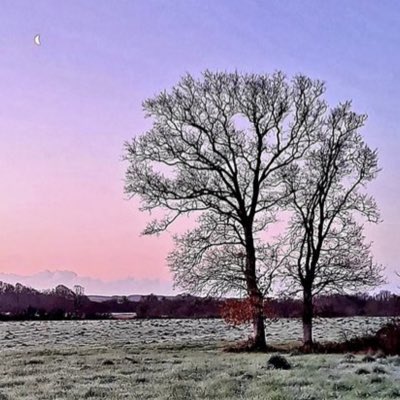 VincentBordeau1's tweet photo. #NouvellePhotoDeProfil https://t.co/zGJSK8Jkld