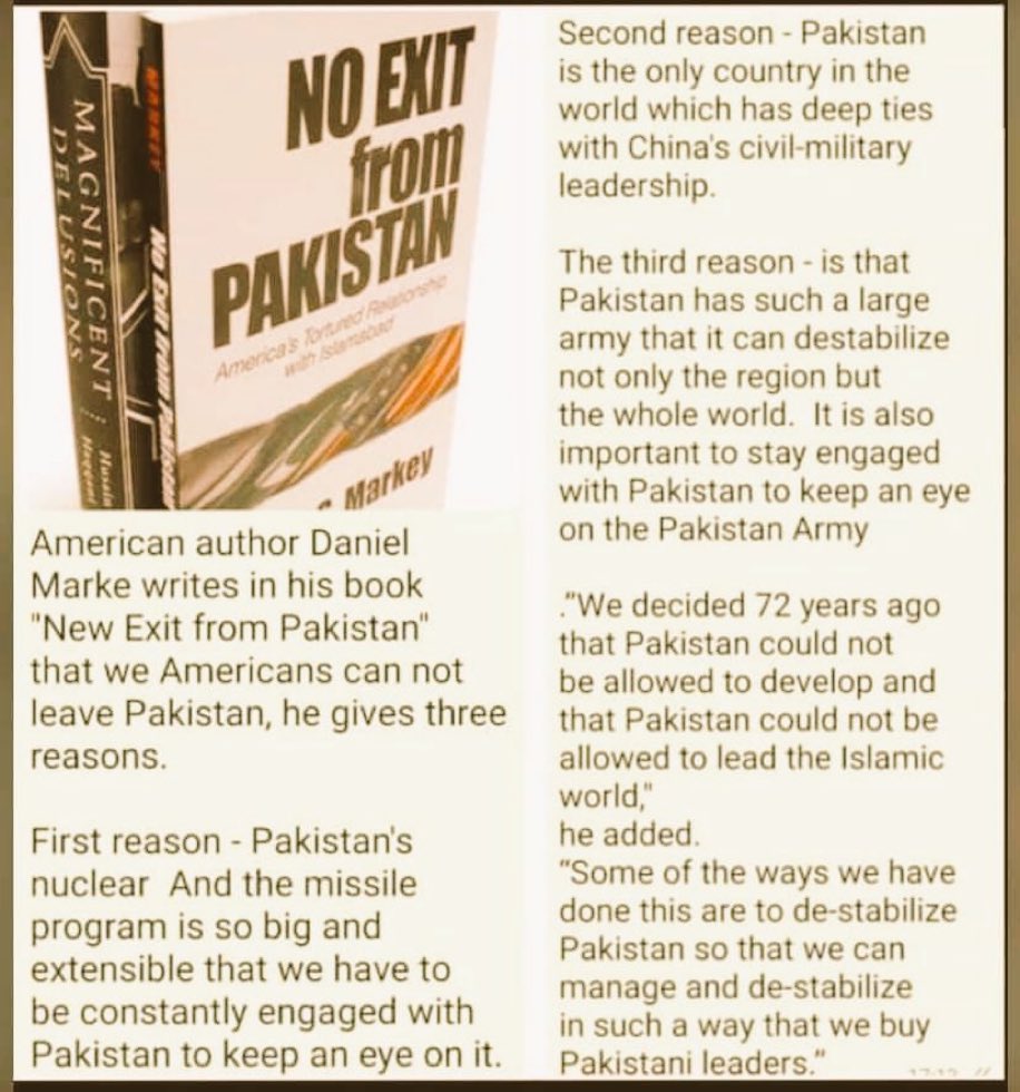 Help with Hinge [21M] : r/hingeapp, image size:916x980