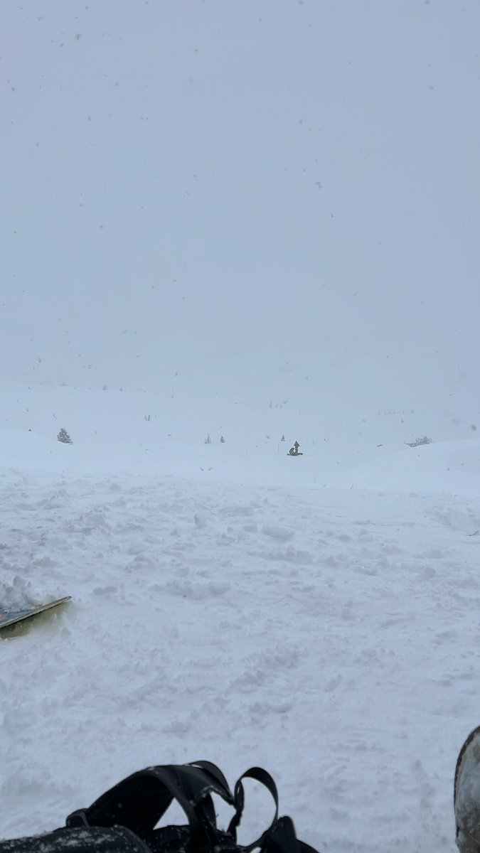 Crittle | WGF MINTING NOW tweet media