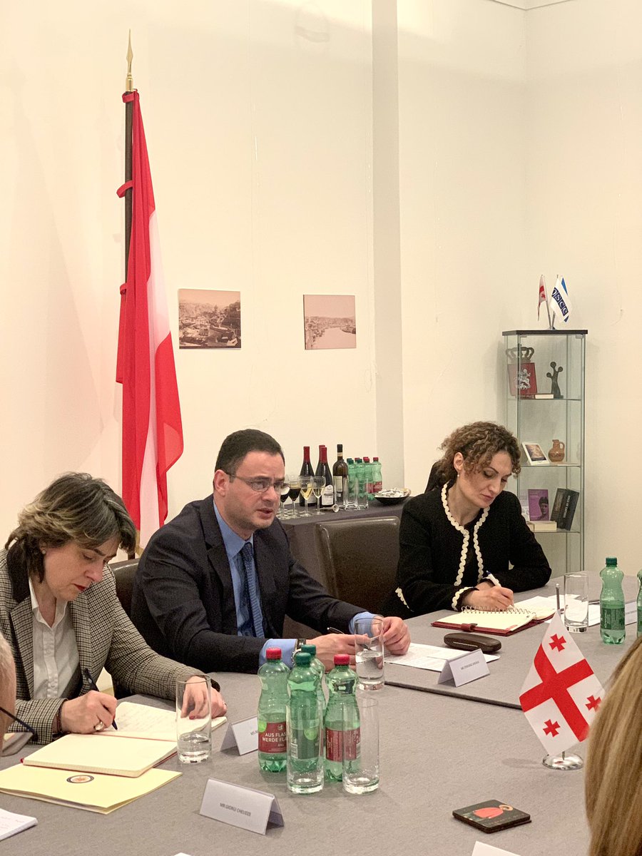 GeorgiainAus's tweet photo. Im Rahmen seines Arbeitsbesuches in #Wien traf sich der Vize-Außenminister @tjanjalia mit den Vertretern der 🇦🇹 Bildungseinrichtungen und politischen Akademien. Im Mittelpunkt des Gesprächs die 🇪🇺 Integration des Landes sowie die aktuelle Lage in der Region. https://t.co/Bz7E758dAj