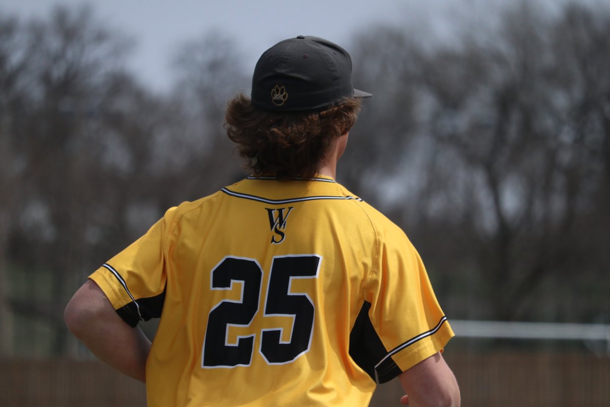wscwildcats's tweet photo. Three batters, two K's, one Bear.

Middle of the fifth, @WSCBB leads 4-2. #NSICBase https://t.co/4ZnmEWloCS