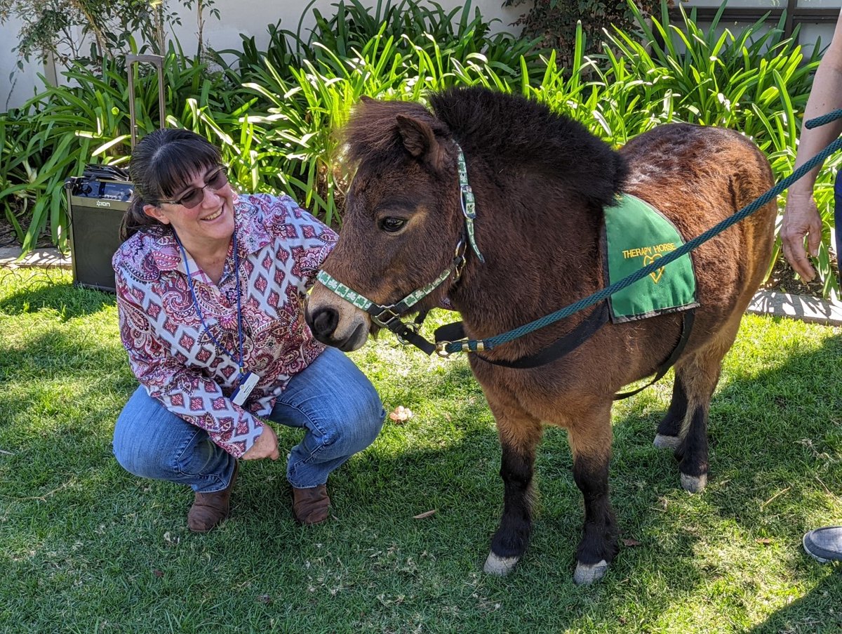 SDPublicLibrary's tweet photo. Hershey Kiss is capturing our hearts! 😍 Know of any kiddos (and their caregivers) up for meeting this miniature pony? Hershey is stopping by #CityHeightsLibrary tomorrow at 10:30 a.m. for a special storytime! https://t.co/OMVoB8OCFa https://t.co/NnDCUWP5UU