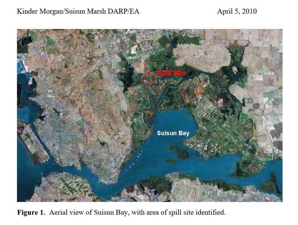 LivableSolano's tweet image. #OTD in 2004, the #KinderMorgan pipeline in #SuisunMarsh ruptured, spilling 123,774 gallons of diesel fuel into protected marshland.

#SolanoCounty #SuisunSlough #RoosCut #Cordelia #SuisunCity #FairfieldCA #Benicia #CarquinezStrait