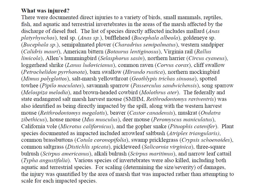 LivableSolano's tweet image. #OTD in 2004, the #KinderMorgan pipeline in #SuisunMarsh ruptured, spilling 123,774 gallons of diesel fuel into protected marshland.

#SolanoCounty #SuisunSlough #RoosCut #Cordelia #SuisunCity #FairfieldCA #Benicia #CarquinezStrait