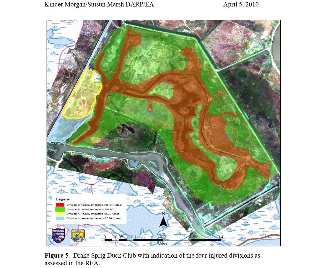 LivableSolano's tweet image. #OTD in 2004, the #KinderMorgan pipeline in #SuisunMarsh ruptured, spilling 123,774 gallons of diesel fuel into protected marshland.

#SolanoCounty #SuisunSlough #RoosCut #Cordelia #SuisunCity #FairfieldCA #Benicia #CarquinezStrait