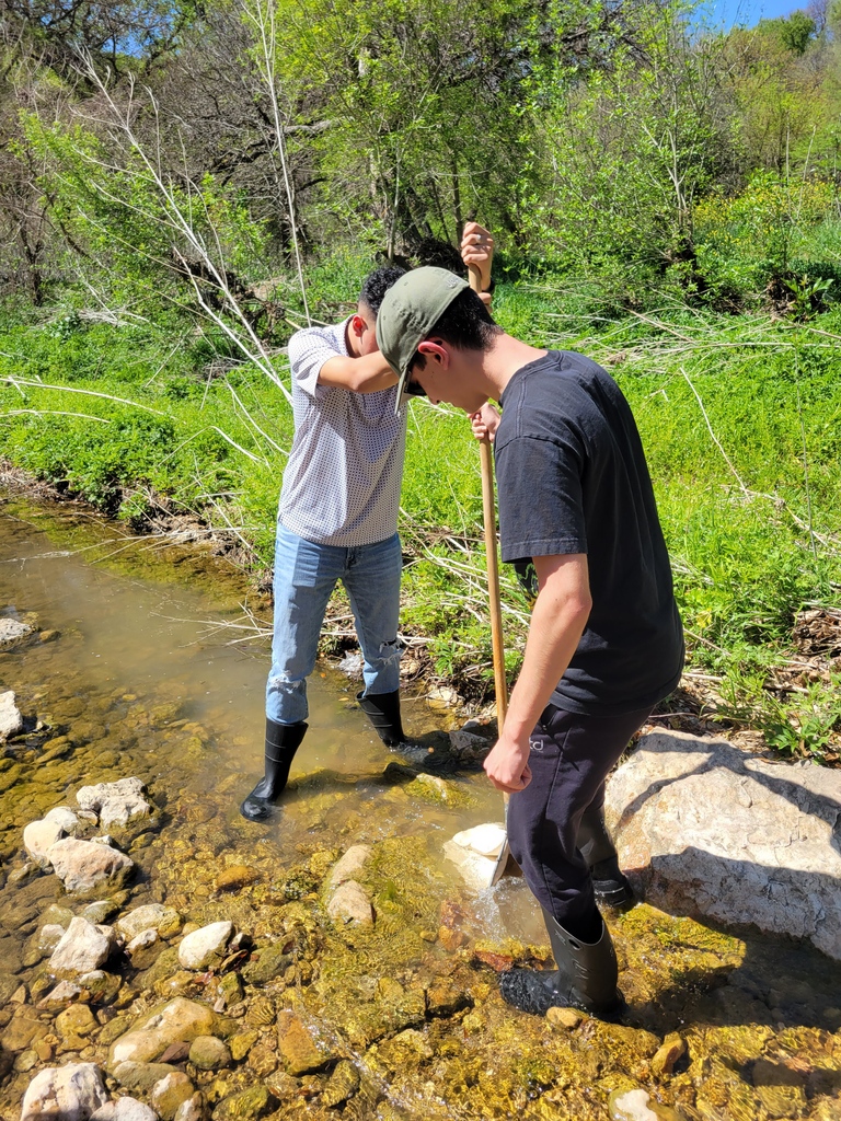 SEUScience's tweet photo. Dr. Michelle Green's BIOL 1108.02 class collected macroinvertebrates and assessed water quality in a local Austin stream as part of their CURE (Curriculum-based Undergraduate Research Experience) general bio lab. 😀☀️

#biology #waterquality #undergraduateresearch #seuscience https://t.co/kG4ASGgbJP
