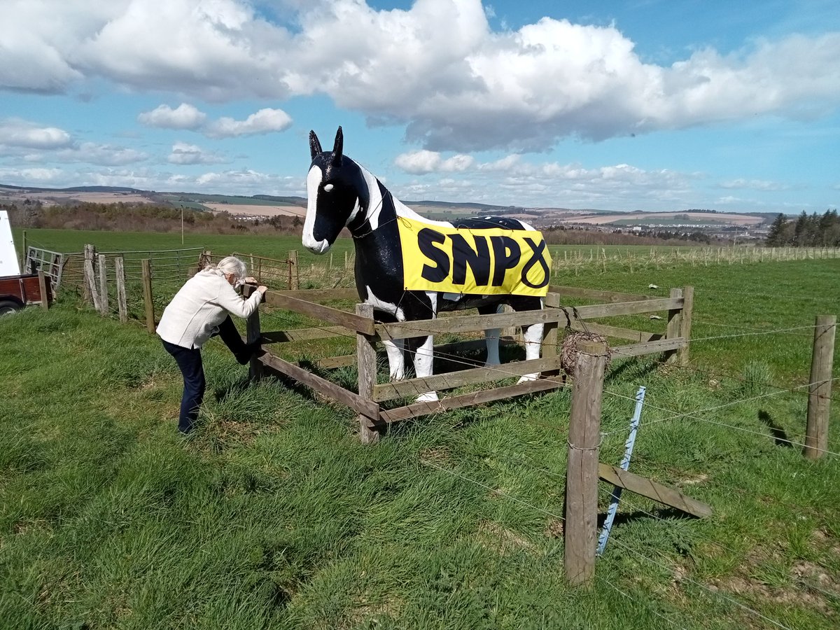 SNPMurphy's tweet photo. This is one of our members putting up q sign to encourage all to vote on 5th May. Eileen is 78yrs old! https://t.co/qJDjaPrRP8