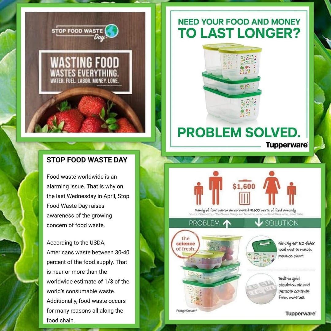 Melissa Cardenas tweet media