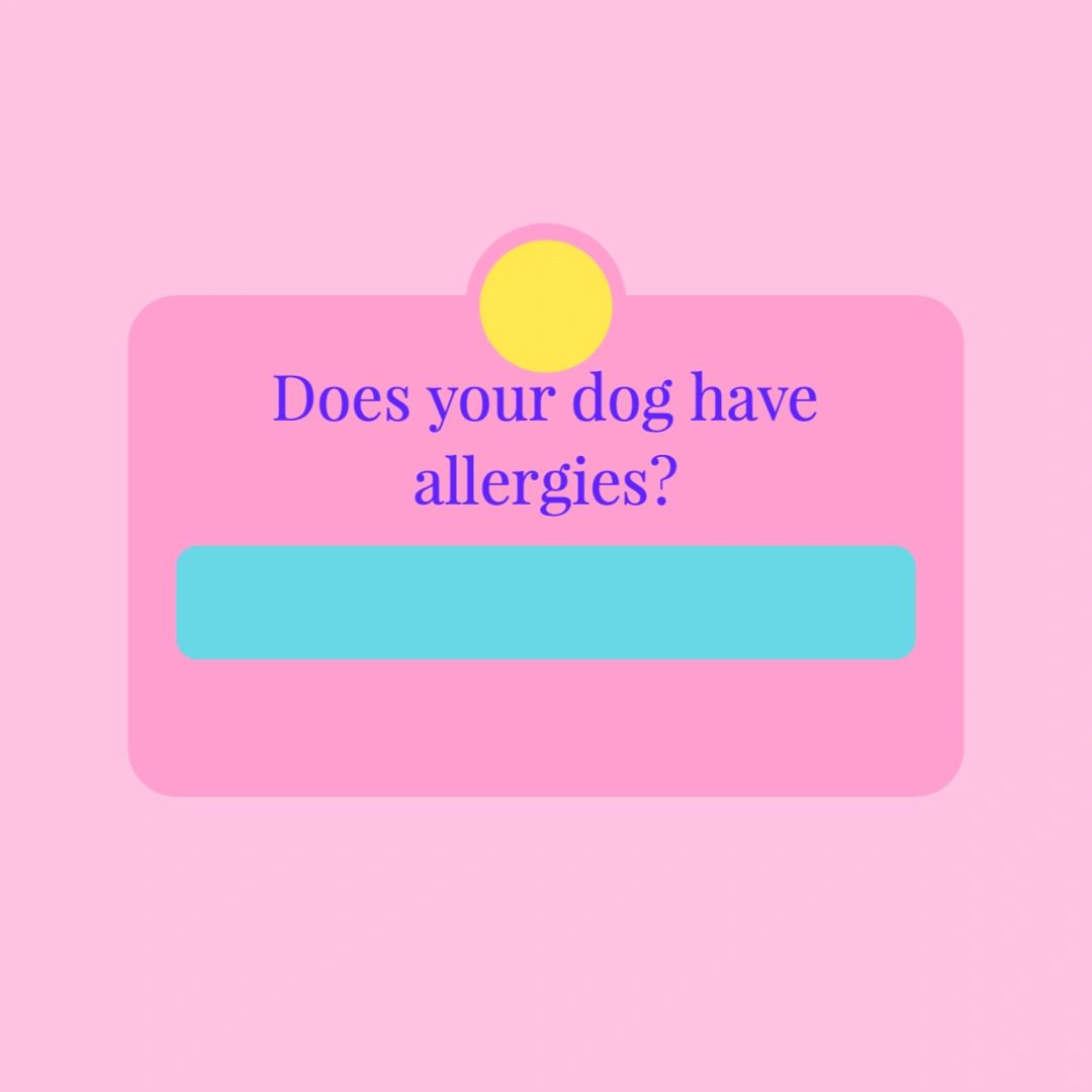 Does your dog have allergies?
