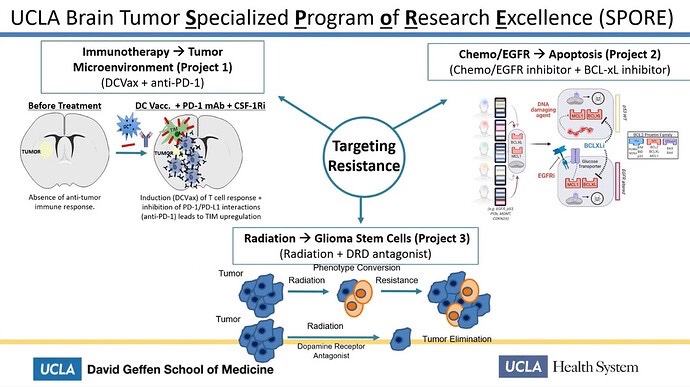 $NWBO

Obviously Merck believes DCVax-L is efficient, since they wanted BMYs spot in the UCLA Spore Project 1, the combo trial with Keytruda and DCVax-L and wanted to prove Keytruda worked with it.

We are awaiting an outcome, that we already know.