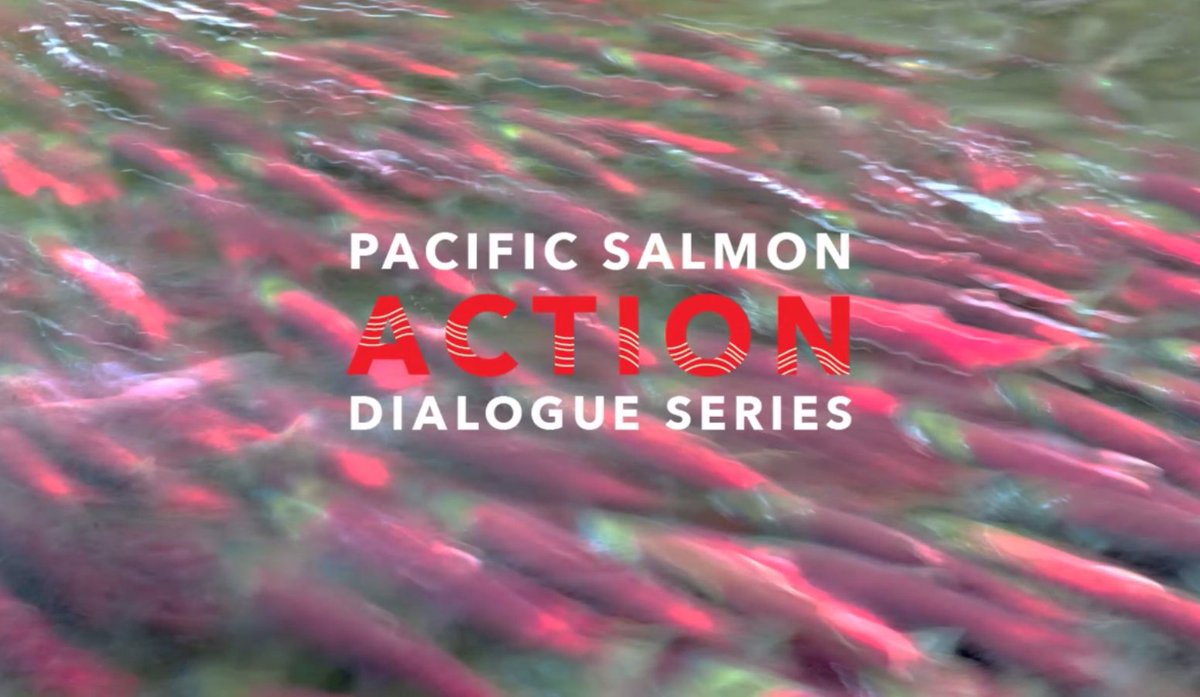 FN Fisheries Council (@fnfish) on Twitter photo We are with <a href="/PSF/">PACIFIC SALMON FOUNDATION</a> discussing ways to bring together people and resources to protect and restore wild Pacific salmon. These species vitalize, inspire and connect so many communities in BC and WA. Extinction should not be an option. You can listen in now! bit.ly/3EXdy8K We are with <a href="/PSF/">PACIFIC SALMON FOUNDATION</a> discussing ways to bring together people and resources to protect and restore wild Pacific salmon. These species vitalize, inspire and connect so many communities in BC and WA. Extinction should not be an option. You can listen in now! bit.ly/3EXdy8K