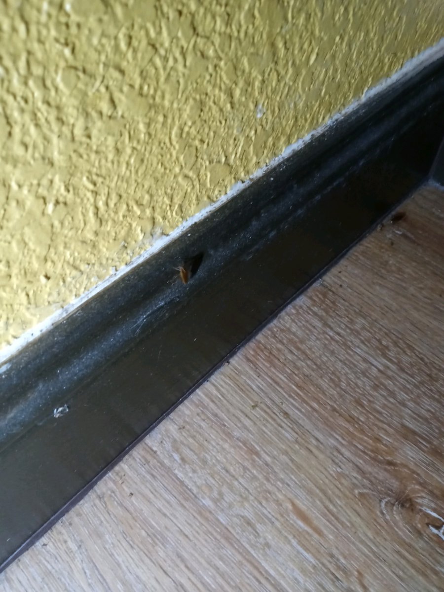 LastBallantyne's tweet photo. @SmokeyBankz @WyndhamHotels @WyndhamRewards @daysinn They've given me and my family the same treatment in FL.  The agent at the customer service line even hung up on me.  Didn't even stay at the room (check pics) because of how bad it was, and they not only charged me but increased the rate by 50%.  They just want your money. https://t.co/roFtv4gT2z