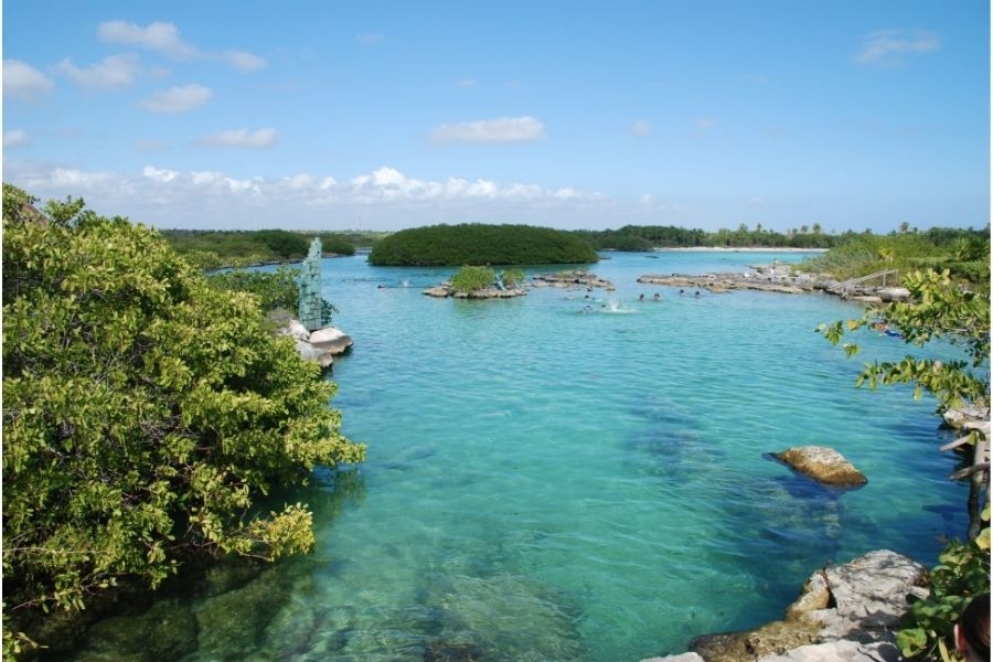 leap_my's tweet image. Traveling to Riviera Maya in Mexico? Check out my guide to all the best swimming, snorkeling, and Mayan ruins!

myflyingleap.com/mexico/top-thi…

#myflyingleap #travel #mexico #newpost