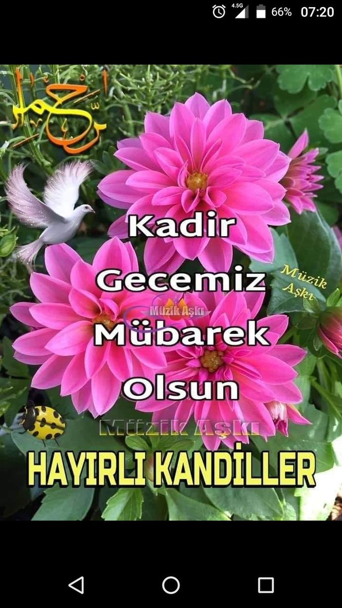 Kadir gecemiz mübarek olsun Allah hepimize saglık huzur mutlu versin