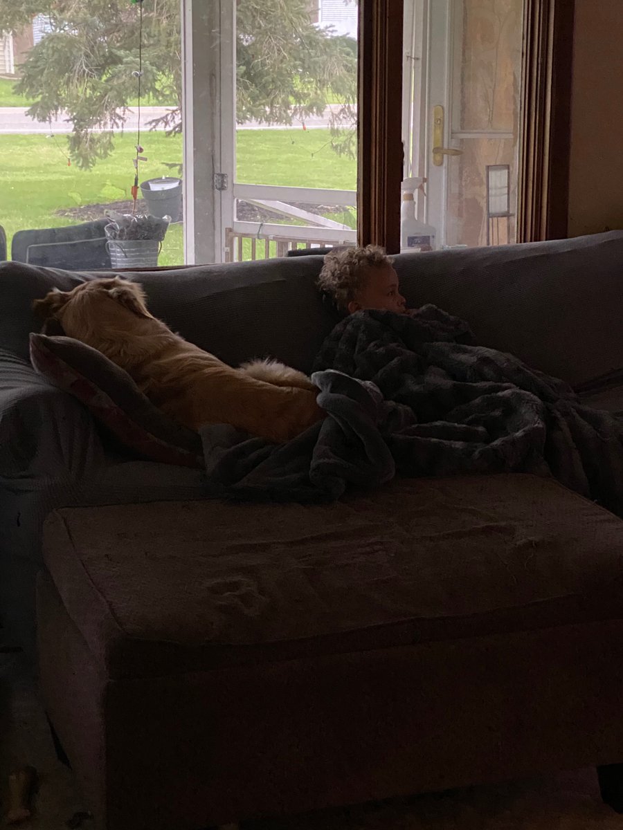 BestGoldenEver's tweet photo. The Golden Ones. 🦮👦
I love the two of them together.    #aboyandhisdog #bff 💗 https://t.co/ZC2BBbVOx9