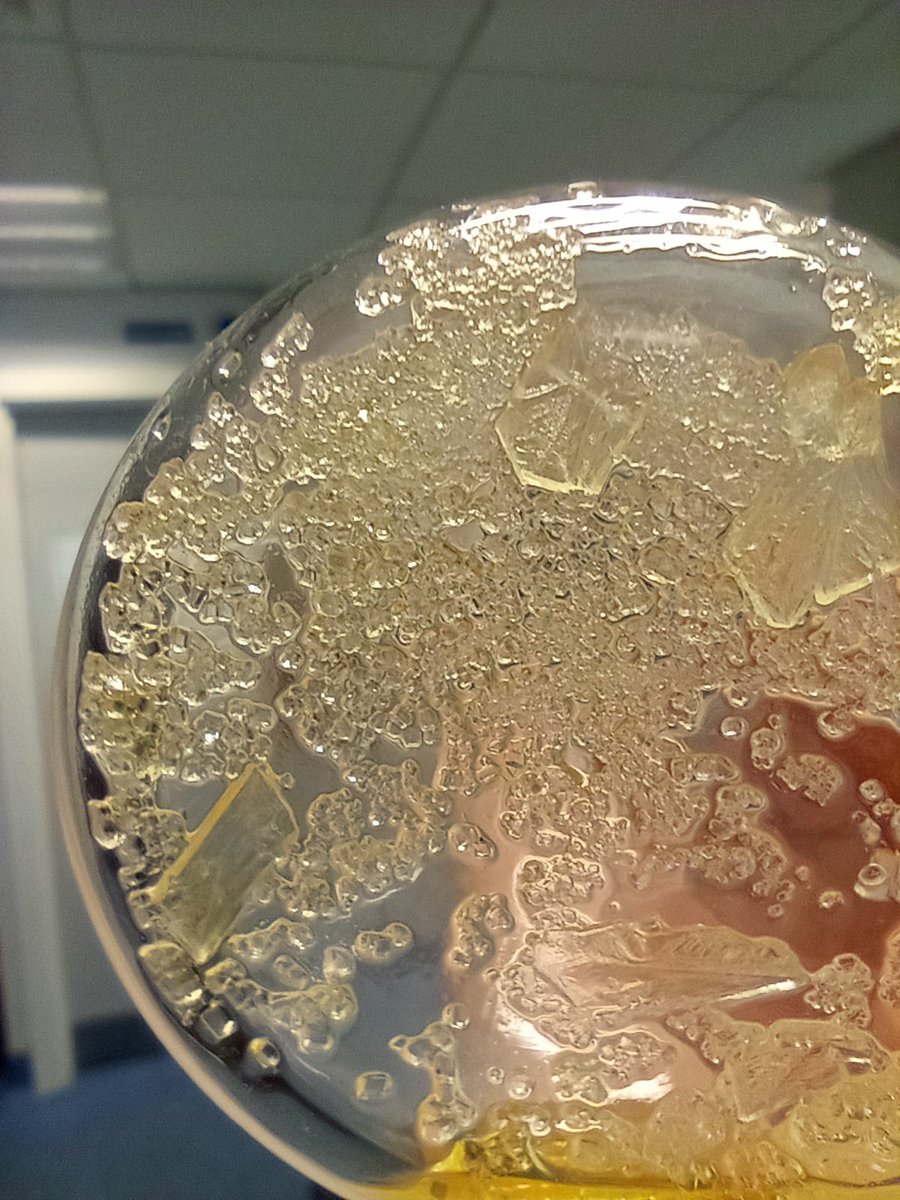 Good news: found some more crystals. Bad news: just a side product. At least they look nice #RealTimeChem