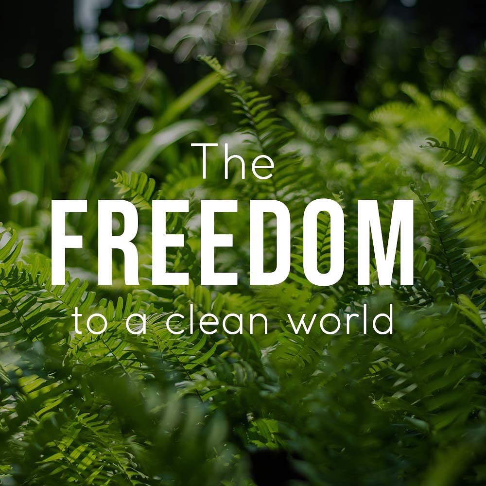 boxdwater's tweet photo. How are you celebrating your freedom vandaag? 🇿🇦🇿🇦🇿🇦

We hope that your drinking more water!! Happy freedom day South Africa!!

#GoBoxd #SwitchToBoxd #FreedomDay https://t.co/AgQLAoSyA9