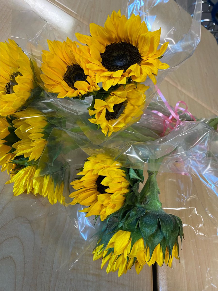 we_dontmakekeys's tweet photo. Today is Secretary Day!🌼💛 We wanted to thank all of our lovely Secretaries by dropping off sunflowers to Mrs.Mahler (athletics), Mrs.Livingston (guidance), &amp; Mrs.Cooper and Mrs.Angotti (Main office)! @stohAD1 @HighlandHighHHS https://t.co/H9WWZ7TJsp