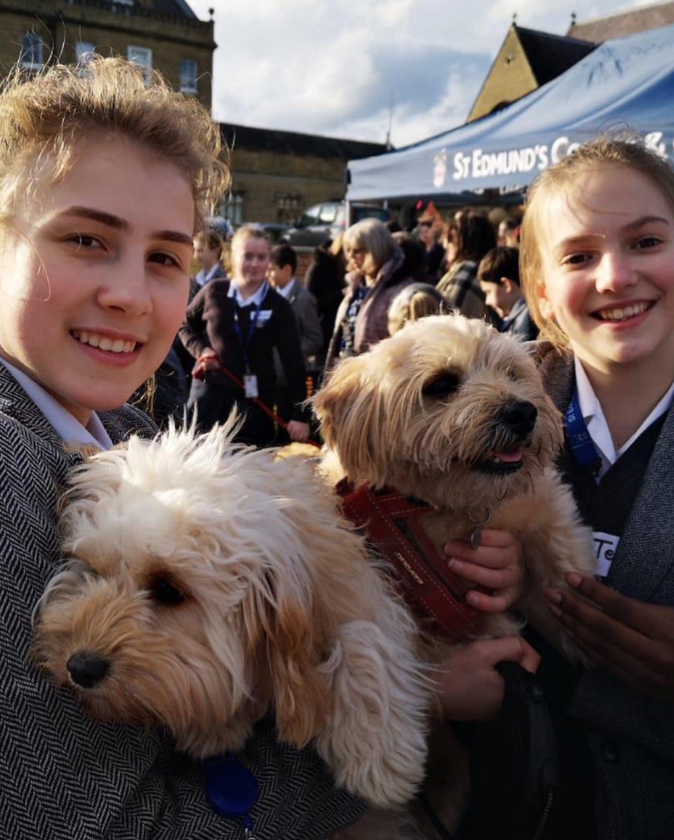 StEdmundsWare's tweet photo. Join us for a Pawsitively Perfect afternoon at Our Dog Show 2022 on Weds 4th May during P7 3.20pm πΆ
Come and see these adorable pups for a donation of just Β£2! All profits will go to @KeechHospice β€οΈ
#Dogshow #agilitycourse #SEC_Crufts #Waggiesttail https://t.co/pfrnpviiGJ