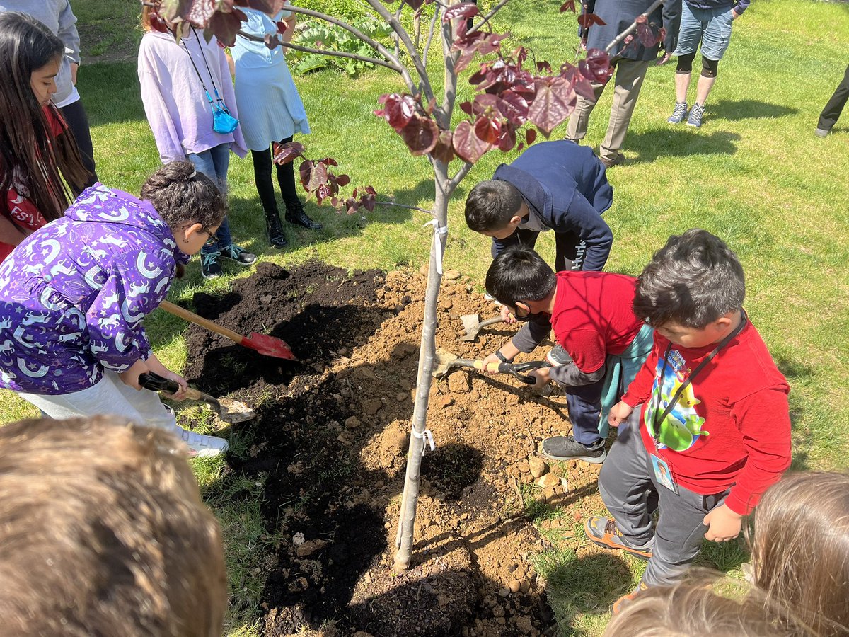 ACPSk12's tweet photo. To celebrate #ArborDay, @BarrettElem third graders are participating in @DominionEnergy’s Project Plant It by planting a tree on school grounds! 🌲 Students will also take home a tree seedling and a packet of wildflower seeds. 🌼 🌷 🌻 @arborday https://t.co/JwbvJeqVCR