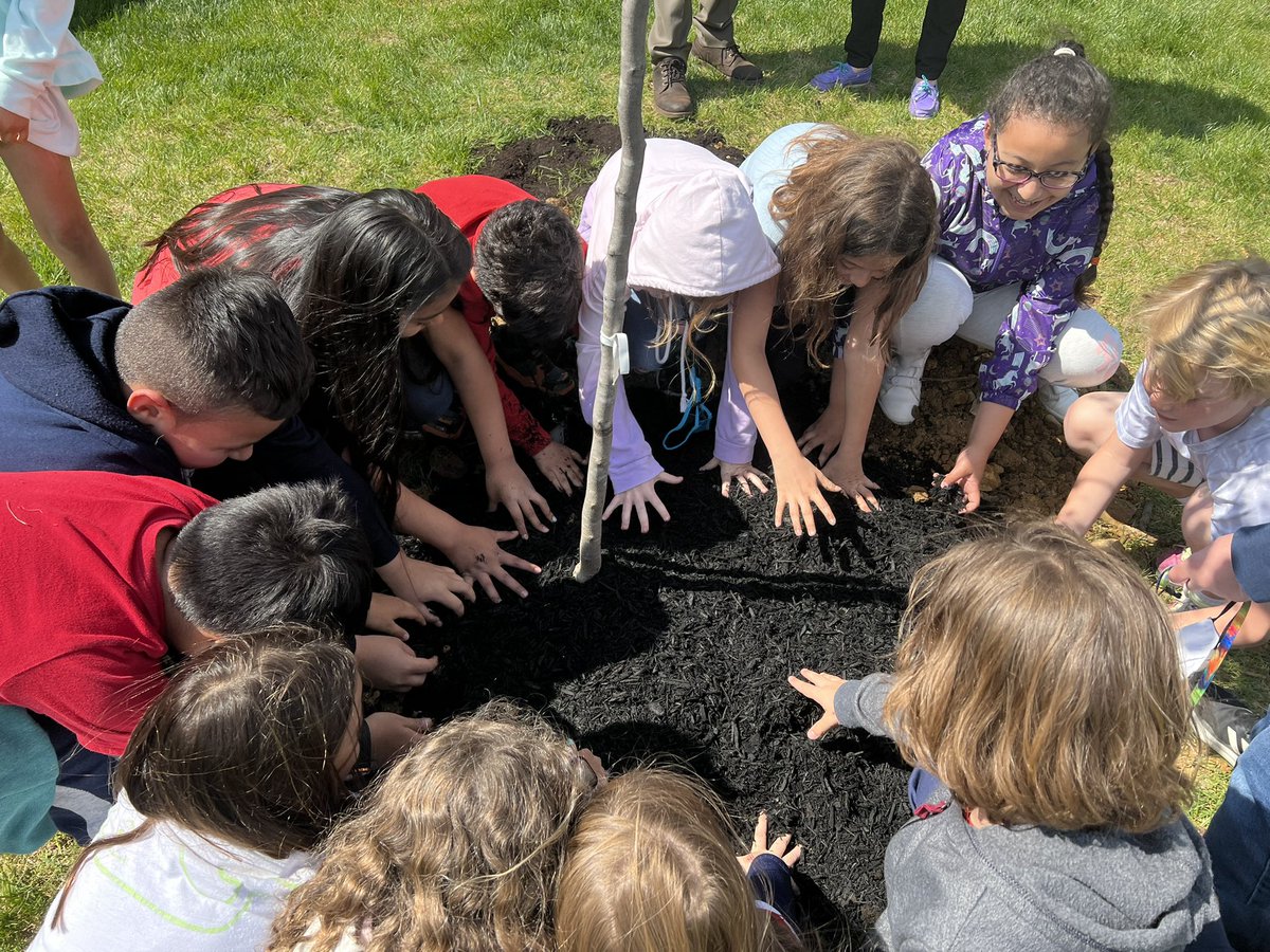 ACPSk12's tweet photo. To celebrate #ArborDay, @BarrettElem third graders are participating in @DominionEnergy’s Project Plant It by planting a tree on school grounds! 🌲 Students will also take home a tree seedling and a packet of wildflower seeds. 🌼 🌷 🌻 @arborday https://t.co/JwbvJeqVCR