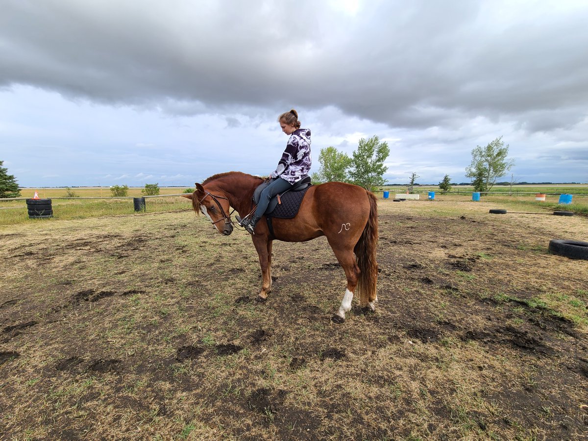 Lacey Hadford (@hadfordpt) on Twitter photo 