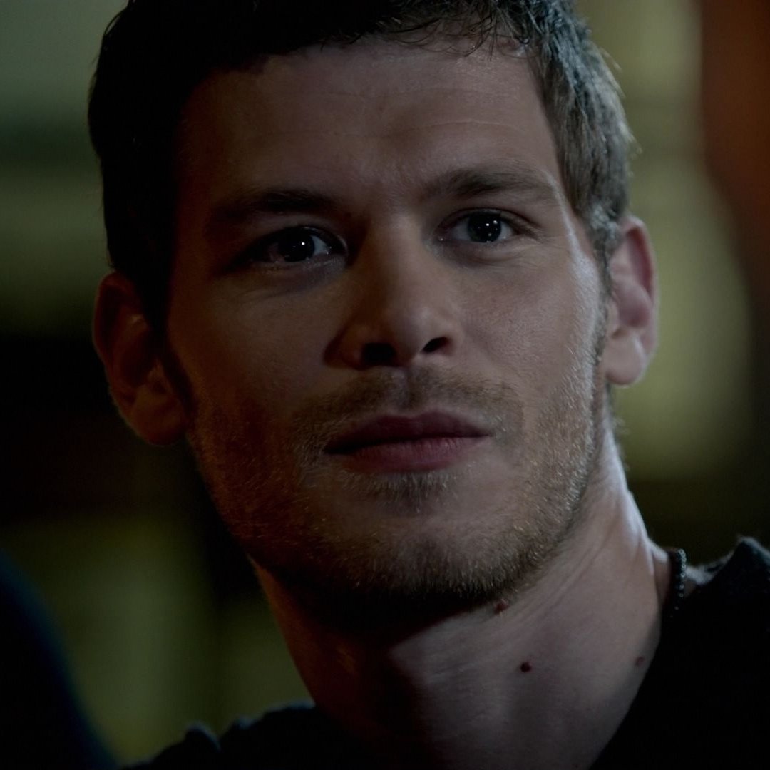 best of klaus mikaelson (@dailykiaus) on Twitter photo 