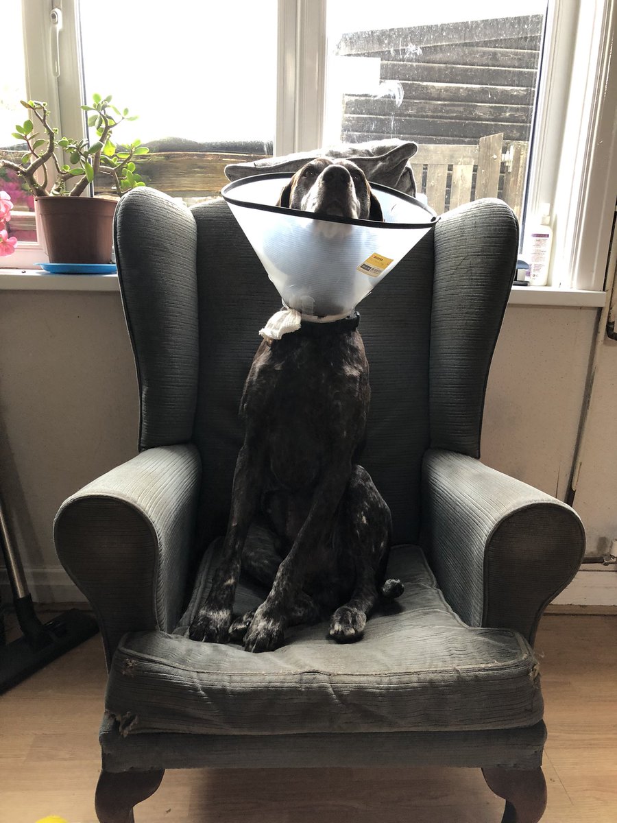 MrsSWiles's tweet photo. @bbcburnsy Boris the lamp in Flamborough. And avid listener and quiz player. Number one fan/lamp 😂 https://t.co/CaOqoh5lAQ