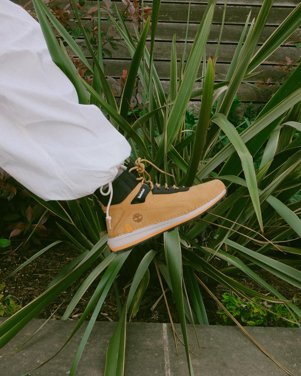 Timberland tweet media