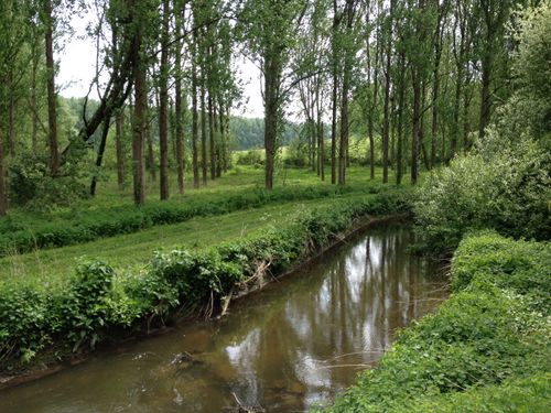 BTSWolves's tweet image. Explore almost 20 beautiful walking trails in and around Wolverhampton, thanks to @AllTrails. 🌳🐿🐇

alltrails.com/england/west-m… 

Can anyone guess where this trail is located? 🧐