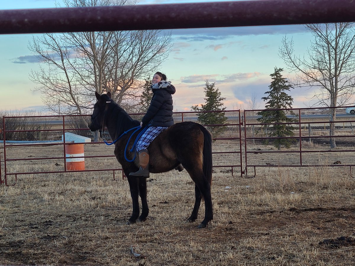 Sophie's first ride on her new Andalusian filly!