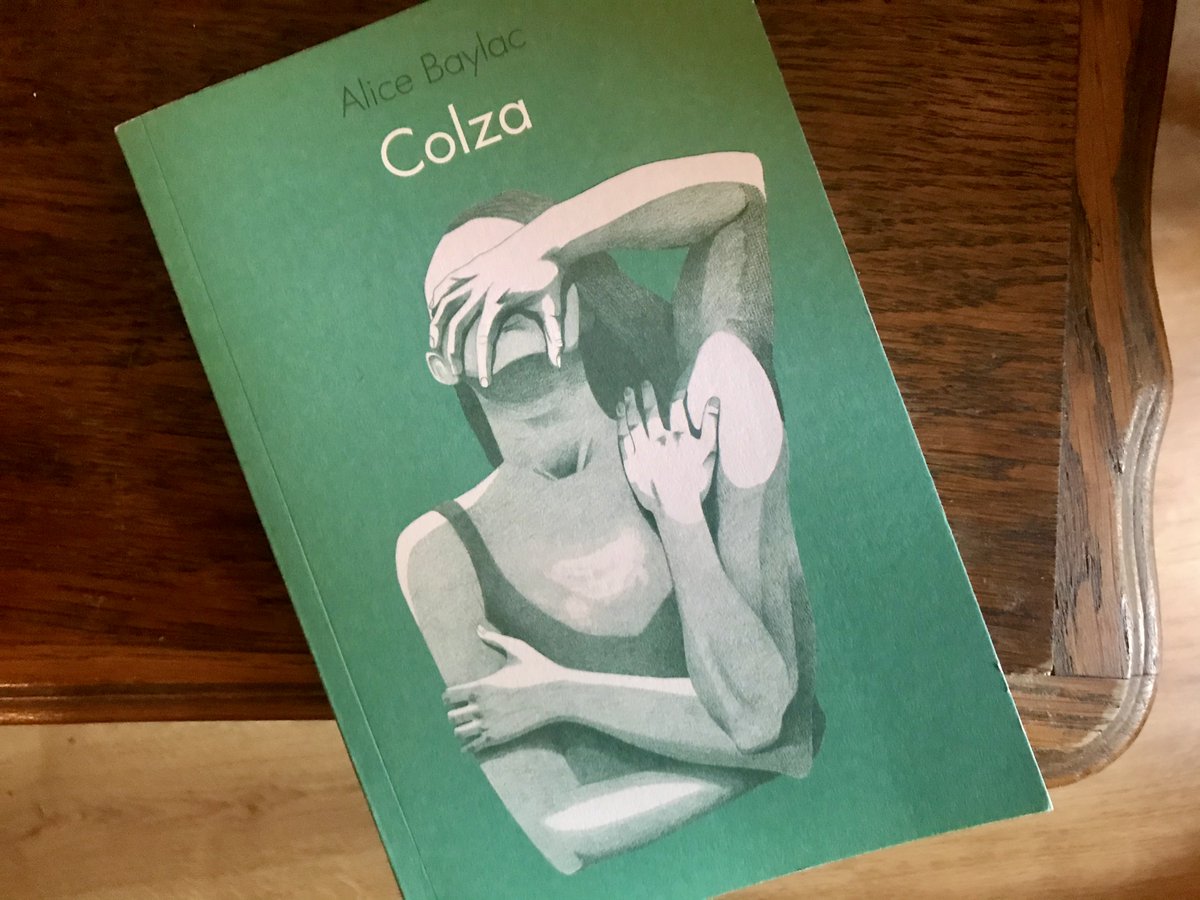 [Récit]

Initiation lesbienne, journal de notre temps, conte aux allures pop : Alice Baylac ouvre une fenêtre sur Colza, personnage de fiction et blasonneur·euse d'amantes ! paru cette année aux formidables <a href="/editionsblast/">éditions blast</a> 

à lire dans le Littéralutte d'avril, en fin de semaine