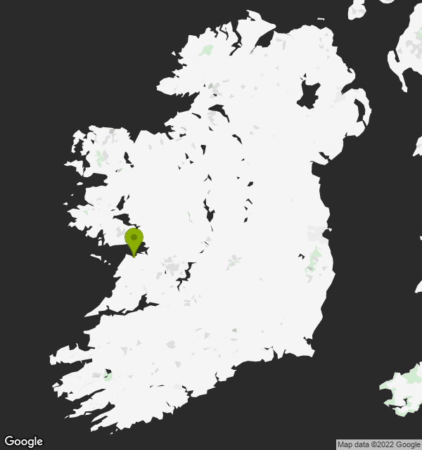 Bridget Mooney, a 16 year old Roman Catholic scholar from Ballyvaghan Town, Drumcreehy, Clare. Speaks Irish and English.