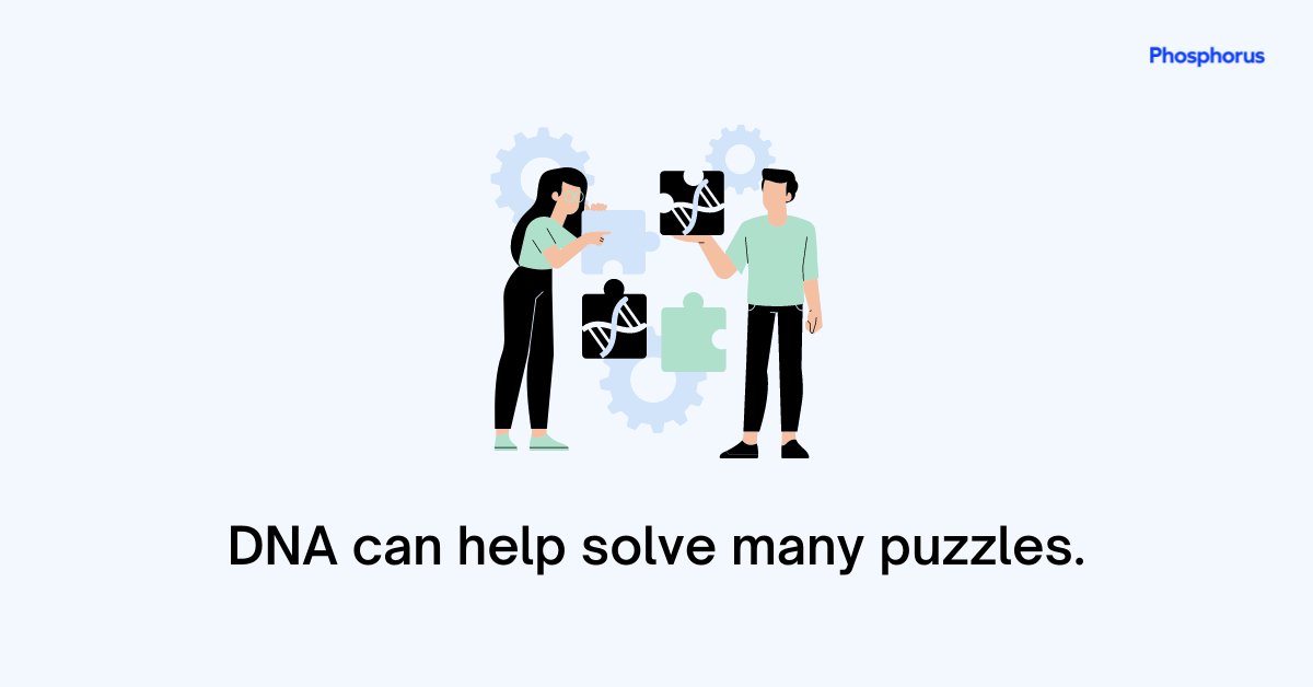 Phosphorus tweet media