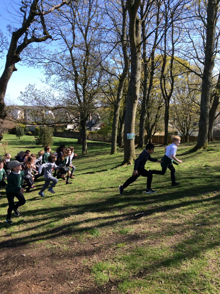 mrs_shand's tweet photo. Literacy in The Woodies, R11 and R12 were consolidating and extending their knowledge of nouns, adjectives and verbs today by playing Simon Says and Corners. We also enjoyed practicing with balls and hoops and demonstrating our own verbs. @mrs_shand @SchoolBroomhill https://t.co/T5Ucammgx6