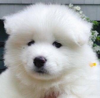 น้องสองคนนี้มาจากแอคไหนใครรู้มั้ยคะ น้องมีจุดใต้ตาน่ารักมาก อยากไปตาม T - T