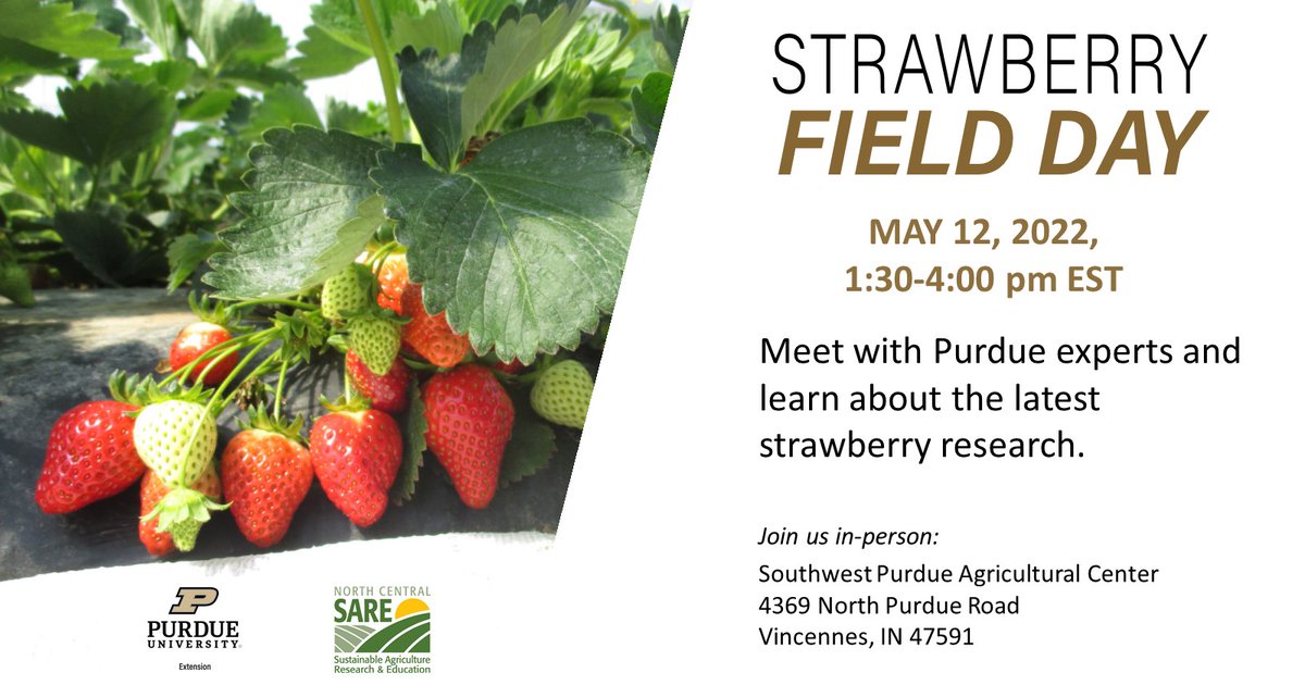 Strawberry Field Day at Southwest Purdue Ag Center, May 12, Register purdue.ca1.qualtrics.com/jfe/form/SV_dg…
