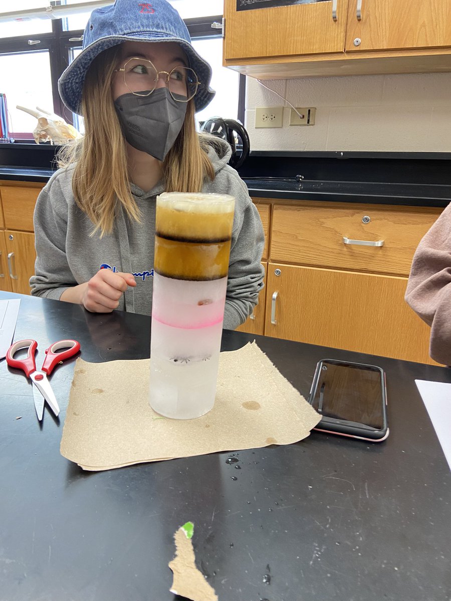 SeanKira's tweet photo. Today APES students analyzed ice cores to determine climate changes over time. https://t.co/tgHZQBl9Nv