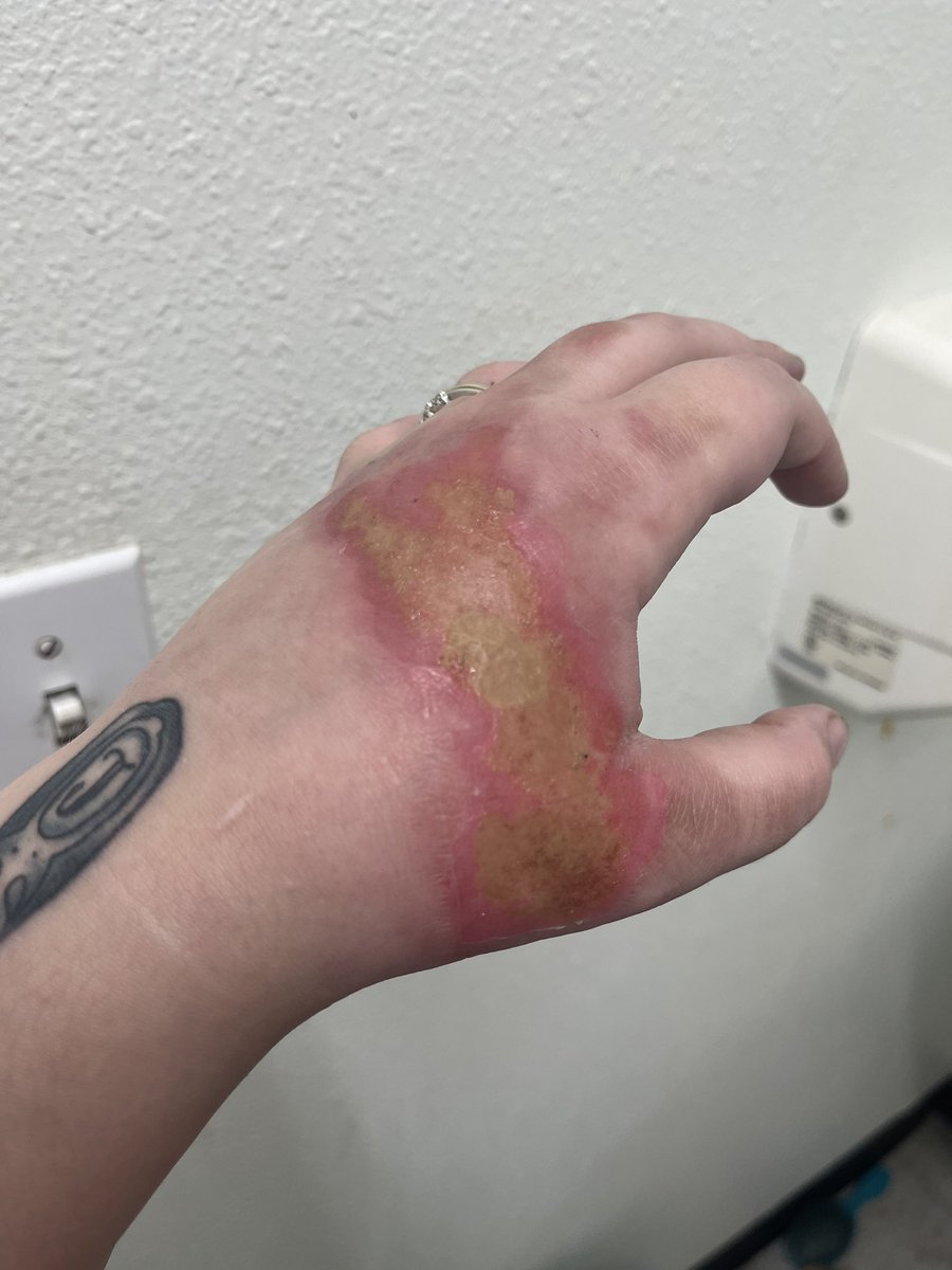 HeatherMerrie's tweet image. Day 6