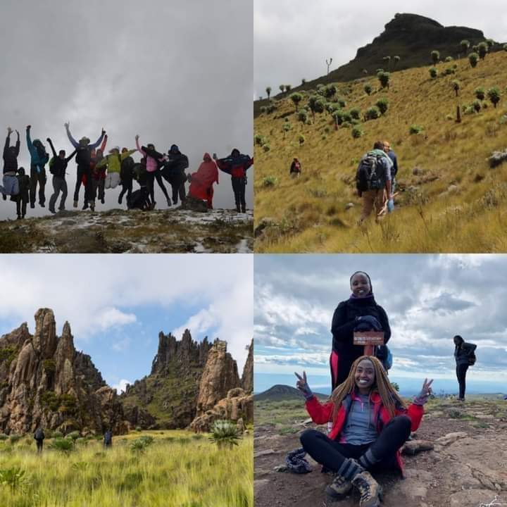 elyzza_tours's tweet photo. #Few_Slots!!
DRAGONS TEETH HIKE (SATIMA)
Date - 30th April
Ks. 2,699pp
Catering for Transport in luxury tour vans, Entry fees, Tour guides, Armed KWS wardens, Mineral water, etc
Interested? Whatsapp us on 0721 585 333 https://t.co/dBPI0DGyPm