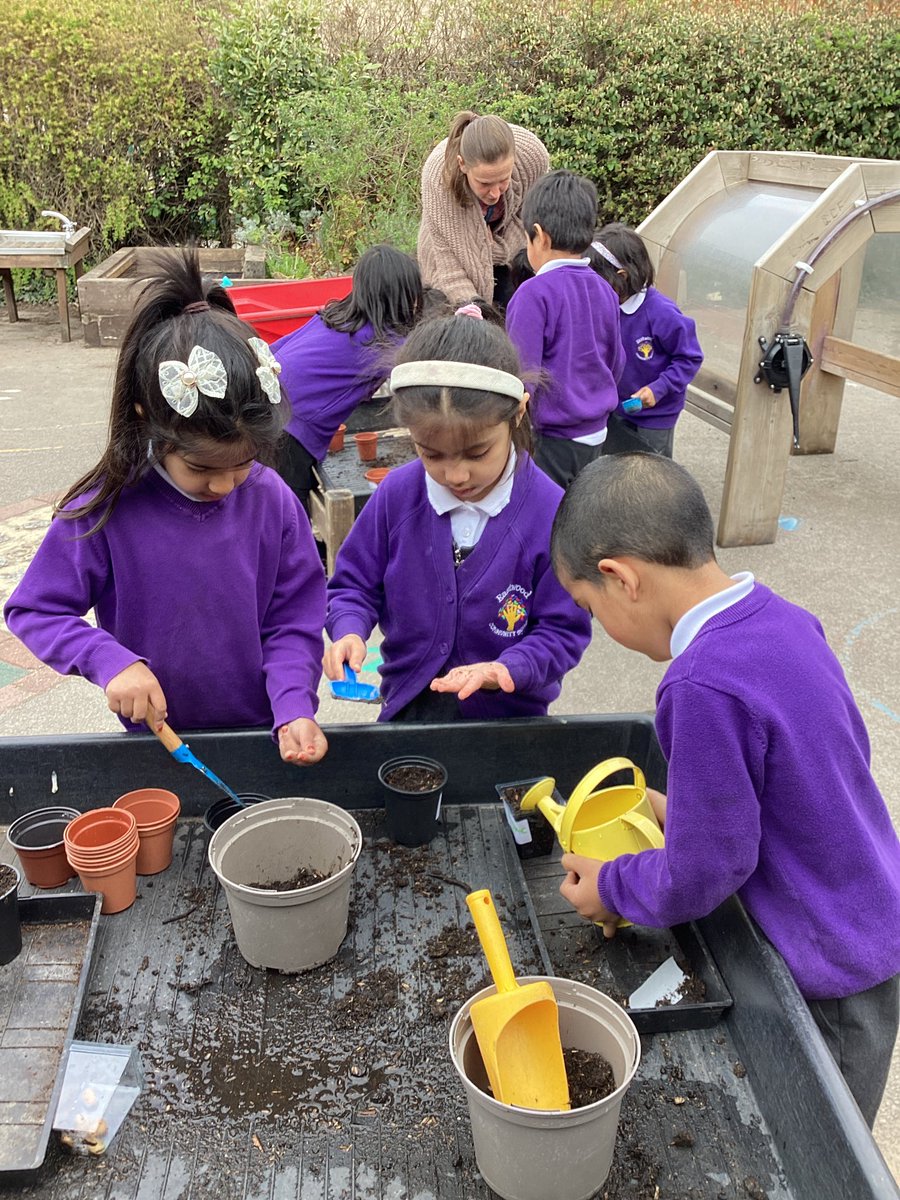 ECS_Keighley's tweet image. Reception are busy planting beans. 
Will we wake up to a beanstalk?😉 🍃 #learningoutsidetheclassroom #gardeners #lotsofquestions