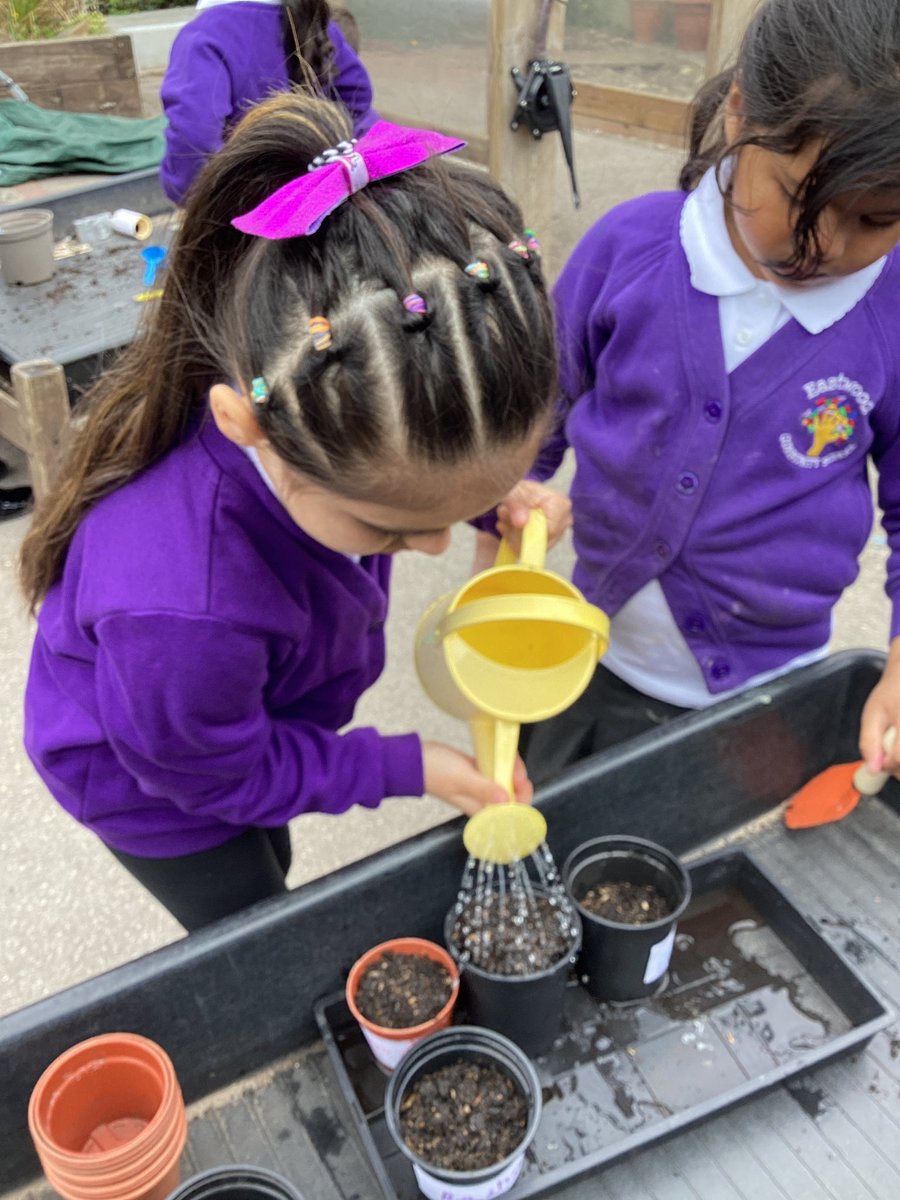 ECS_Keighley's tweet image. Reception are busy planting beans. 
Will we wake up to a beanstalk?😉 🍃 #learningoutsidetheclassroom #gardeners #lotsofquestions