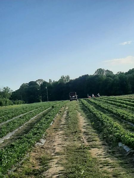 Marshall County CNP tweet media