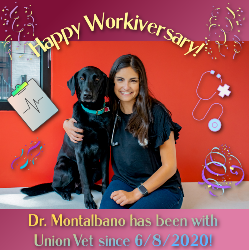 Union Vet Clinic tweet media