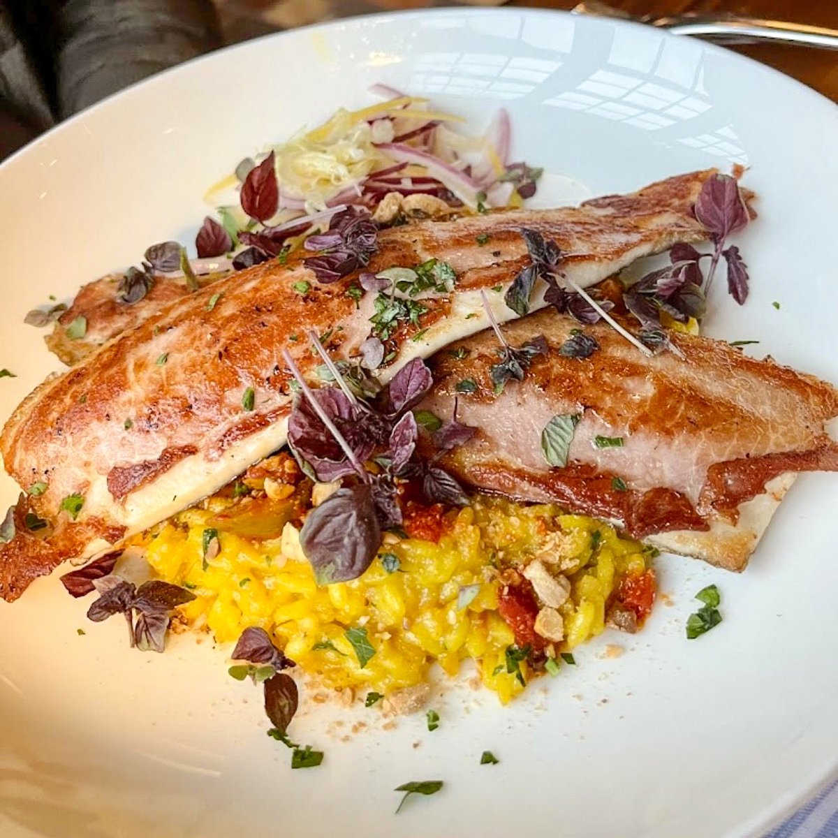 StellaNewHope's tweet photo. Diana J. visited #StellaNewHope and said, “The food was incredible. I would definitely come again.” This is our Pan Seared #Trout Stuffed with #SerranoHam. It's made with saffron #Risotto, gordal olives, toasted almonds, fennel, and red onion & orange salad. Thanks for sharing! https://t.co/ve0OxeSpF5