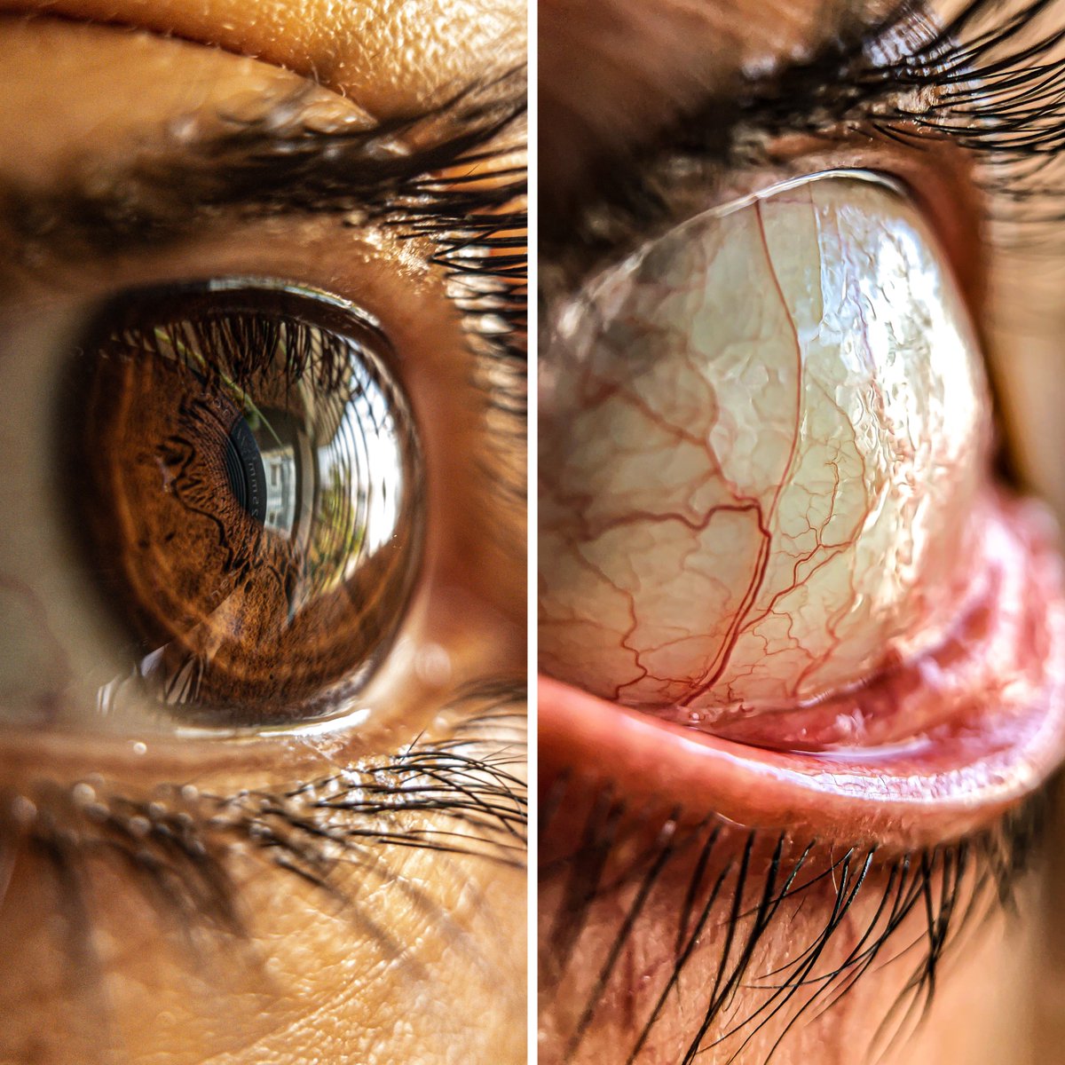 rameeky's tweet image. Nice Fleur Tokens (12/12)
Portraits of Rajasthan (20/20)
Deep into the Eye (2/3)

3 collections available on @opensea 

Link to profile : opensea.io/---Rameeky---

Do read the description in each :)

#NFTCollection #NFTCommunity #NFTphotographers #OpenSeaNFT #WomenInNFT #NFTartist