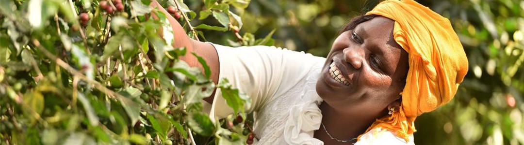 En el Día Mundial de la #Seguridad y #Salud en el #trabajo, exijamos condiciones laborales dignas y seguras para quienes cultivan, fabrican y producen lo que consumimos.
#ComercioJusto #MásComercioJustoMásODS #TrabajoDigno #Agenda2030